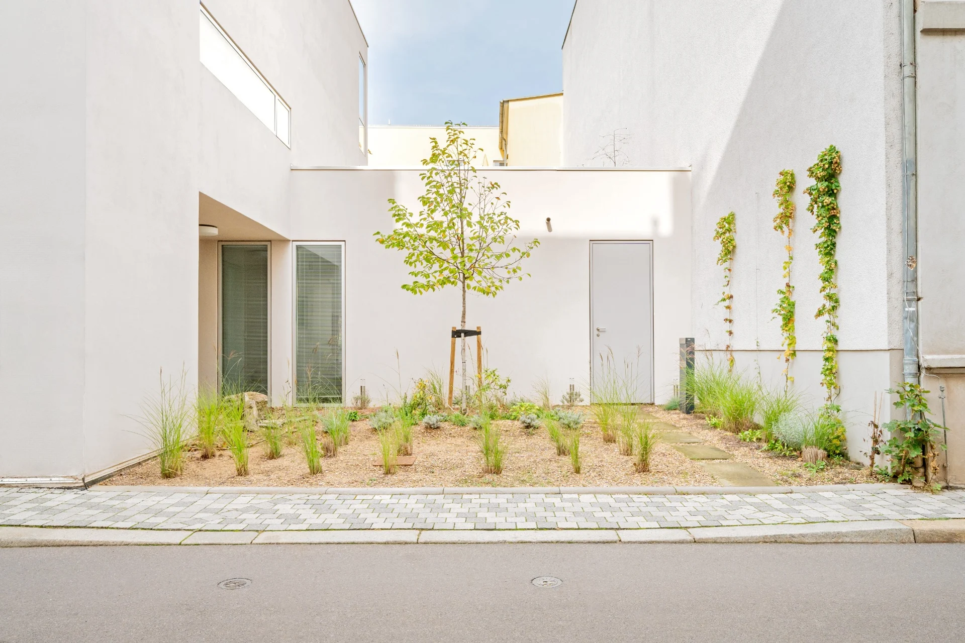 Magdeburg · Buckau – Privatheit mitten in der Stadt, Projektansicht 3